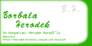 borbala herodek business card